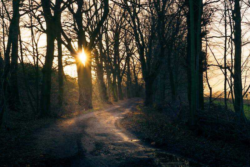 Rozwód krok po kroku